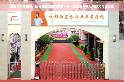 疾病证明书编号，探寻健康之路的关键一环，解读编号背后的意义与重要性