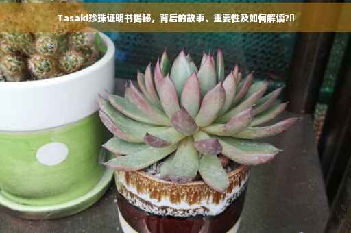 Tasaki珍珠证明书揭秘，背后的故事、重要性及如何解读?✨