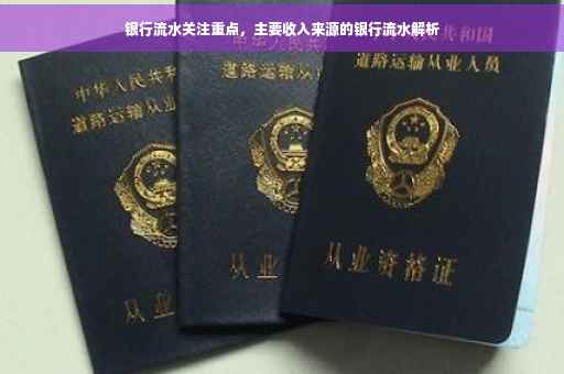 银行流水关注重点，主要收入来源的银行流水解析