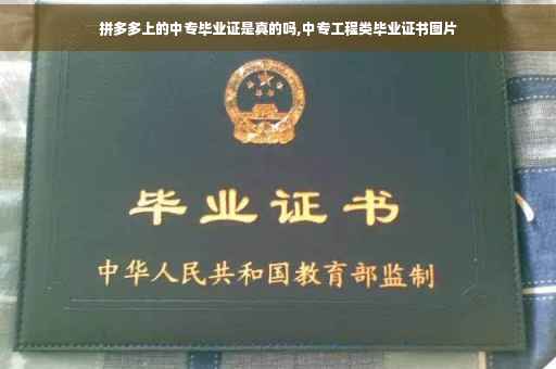 拼多多上的中专毕业证是真的吗,中专工程类毕业证书图片