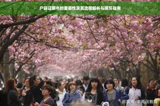 户籍证明书的重要性及其流程解析与撰写指南