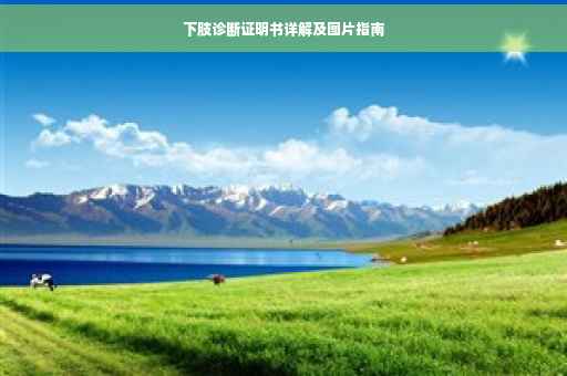 下肢诊断证明书详解及图片指南