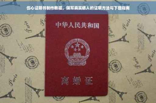 伤心证明书制作教程，撰写真实感人的证明方法与下载指南