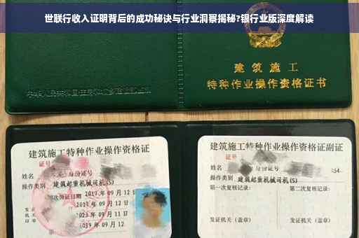 世联行收入证明背后的成功秘诀与行业洞察揭秘?银行业版深度解读