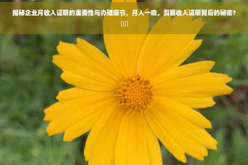 揭秘企业月收入证明的重要性与办理细节，月入一窥，洞察收入证明背后的秘密?⚡️