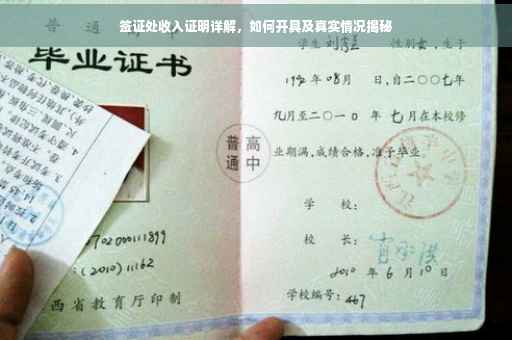 签证处收入证明详解，如何开具及真实情况揭秘