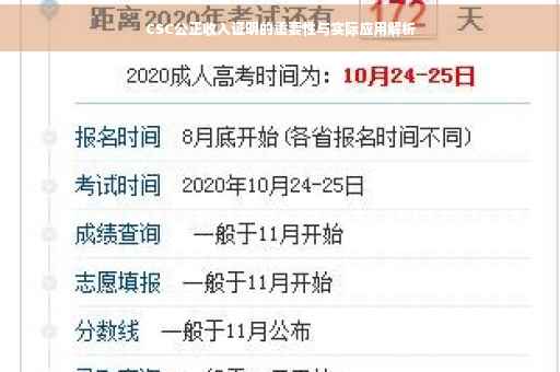 CSC公正收入证明的重要性与实际应用解析