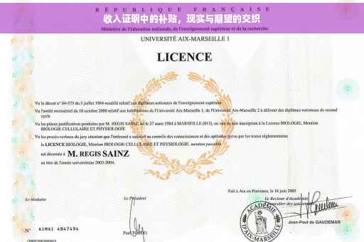 收入证明中的补贴，现实与期望的交织