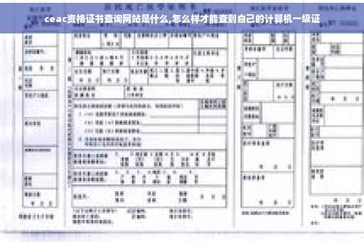 ceac资格证书查询网站是什么,怎么样才能查到自己的计算机一级证