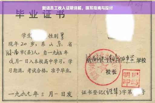 新进员工收入证明详解，撰写指南与探讨
