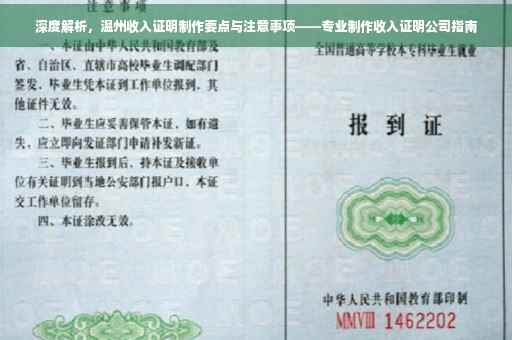 深度解析，温州收入证明制作要点与注意事项——专业制作收入证明公司指南