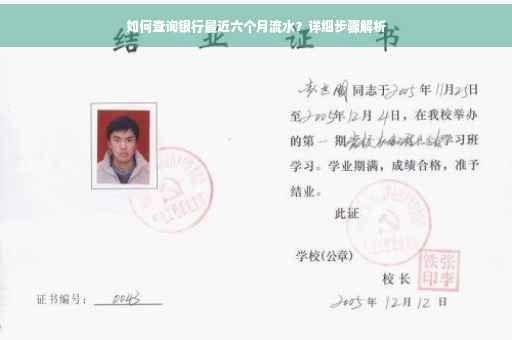 如何查询银行最近六个月流水？详细步骤解析