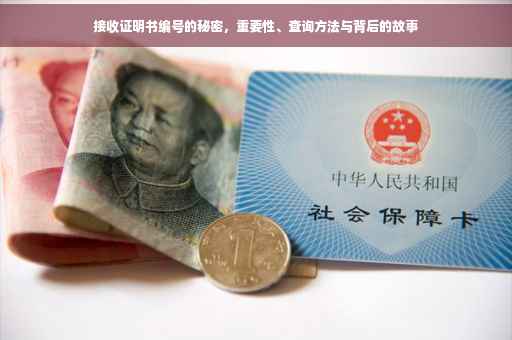 接收证明书编号的秘密，重要性、查询方法与背后的故事