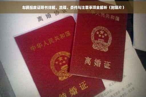 车辆报废证明书详解，流程、条件与注意事项全解析（附图片）