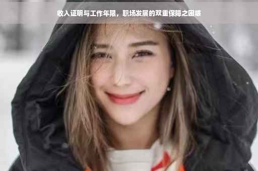 收入证明与工作年限，职场发展的双重保障之困惑