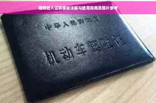 理赔收入证明模板详解与使用指南及图片参考