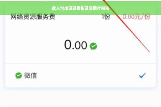 收入付出证明模板及其图片指南