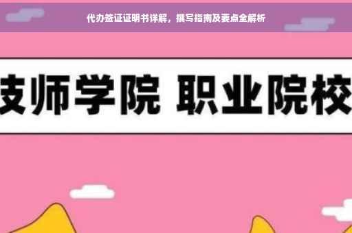 代办签证证明书详解，撰写指南及要点全解析