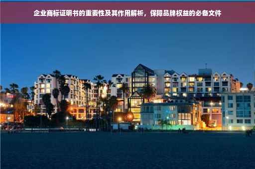 企业商标证明书的重要性及其作用解析，保障品牌权益的必备文件