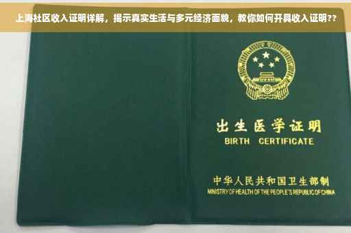 上海社区收入证明详解，揭示真实生活与多元经济面貌，教你如何开具收入证明??