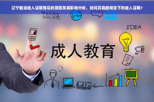 辽宁取消收入证明背后的原因及其影响分析，如何开具新规定下的收入证明？