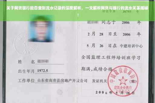 关于网贷银行能否查到流水记录的深度解析，一文解析网贷与银行的流水关系揭秘！