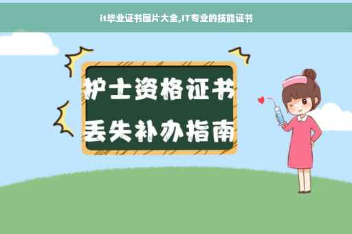 it毕业证书图片大全,IT专业的技能证书