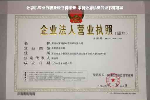 计算机专业的职业证书有哪些-本科计算机类的证书有哪些