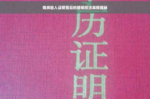 婚房收入证明背后的婚姻经济真相揭秘