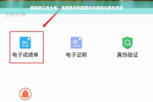 揭秘银行流水单，真相背后的隐藏内容揭秘与操作疑云