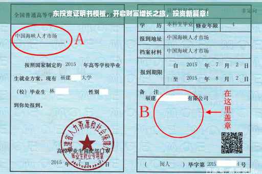 东投资证明书模板，开启财富增长之旅，投资新篇章！