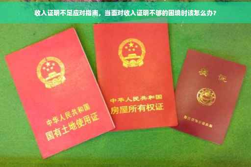 收入证明不足应对指南，当面对收入证明不够的困境时该怎么办？