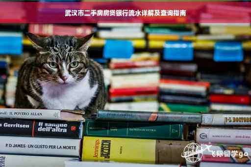 武汉市二手房房贷银行流水详解及查询指南