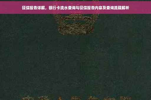 征信报告详解，银行卡流水查询与征信报告内容及查询流程解析
