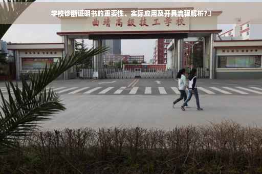 学校诊断证明书的重要性、实际应用及开具流程解析?✨