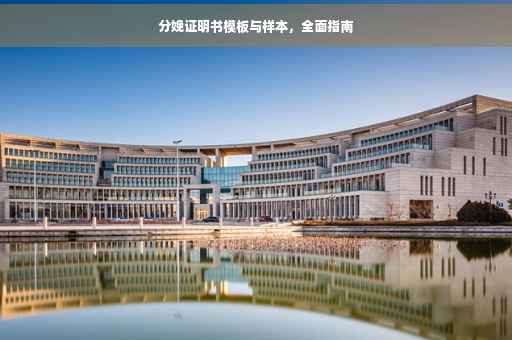分娩证明书模板与样本，全面指南