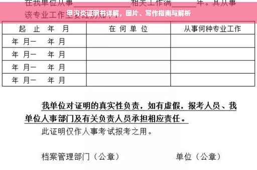 甲沟炎证明书详解，图片、写作指南与解析