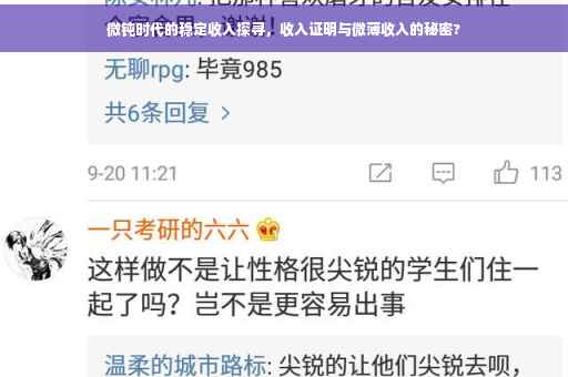 微钝时代的稳定收入探寻，收入证明与微薄收入的秘密?