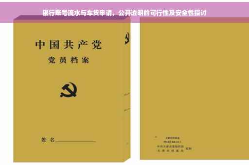银行账号流水与车贷申请，公开透明的可行性及安全性探讨