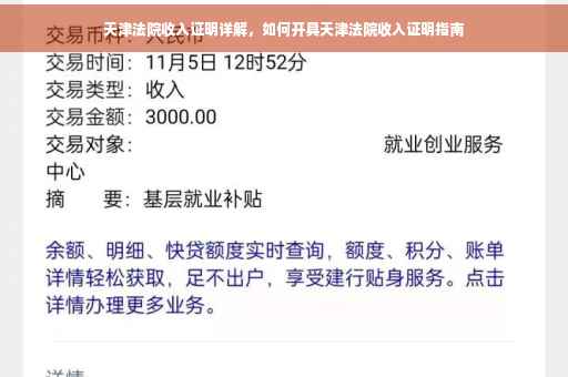 天津法院收入证明详解，如何开具天津法院收入证明指南