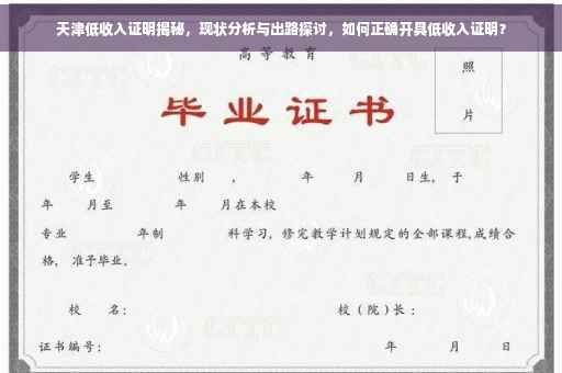 天津低收入证明揭秘，现状分析与出路探讨，如何正确开具低收入证明？