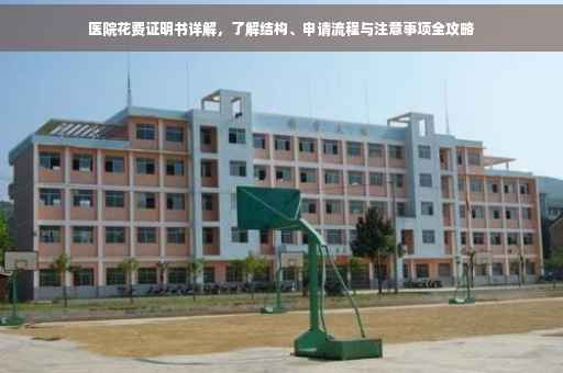 医院花费证明书详解，了解结构、申请流程与注意事项全攻略