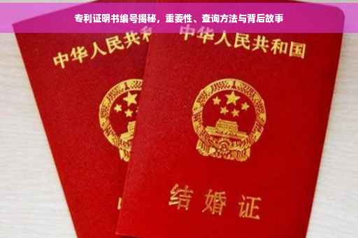 专利证明书编号揭秘，重要性、查询方法与背后故事
