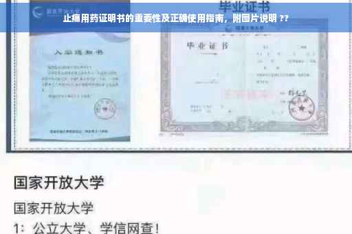 止痛用药证明书的重要性及正确使用指南，附图片说明 ??