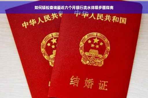 如何轻松查询最近六个月银行流水详细步骤指南