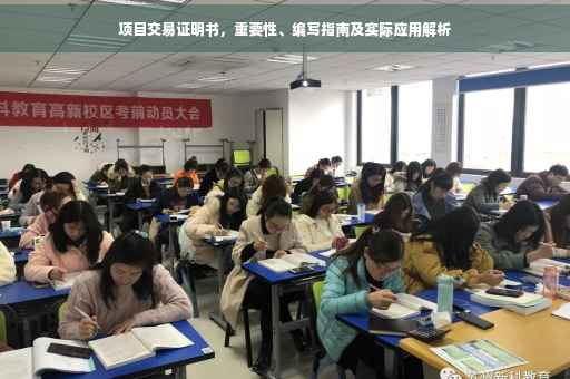 项目交易证明书，重要性、编写指南及实际应用解析