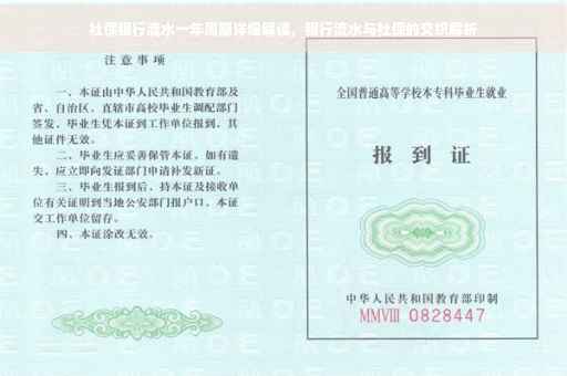 社保银行流水一年周期详细解读，银行流水与社保的交织解析