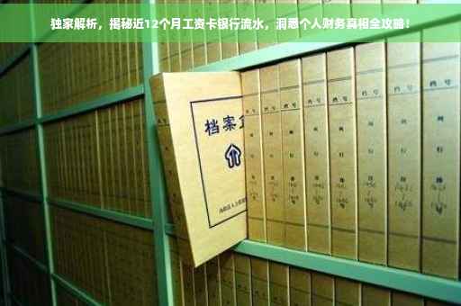 独家解析，揭秘近12个月工资卡银行流水，洞悉个人财务真相全攻略！