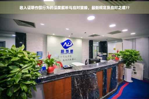 收入证明作假行为的深度解析与应对策略，最新规定及应对之道??