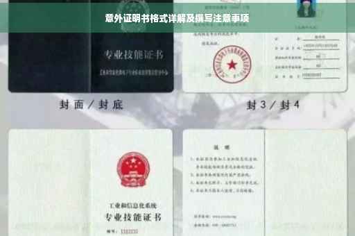 意外证明书格式详解及撰写注意事项